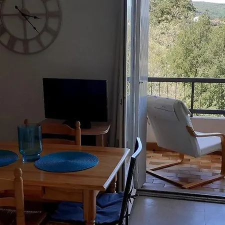 Dernieres Disponibilites Joli Studio Gaelle 50M Des Cures Jolie Vue Degagee Balcon Wifi Daire Amélie-les-Bains-Palalda