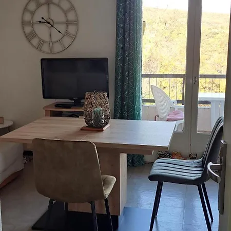 Studio Gaelle Suite Desistement Libre Jusqu Au 13 Avril Une Base Ideale Confortable Balcon Jolie Vue 50M Des Cures Apartamento Amélie-les-Bains-Palalda