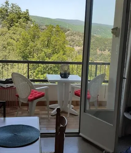 Studio Gaelle Suite A Desistement Libre Jusqu'Au 5 Avril 50M Des Cures Tres Jolie Vue Wifi * Amélie-les-Bains-Palalda