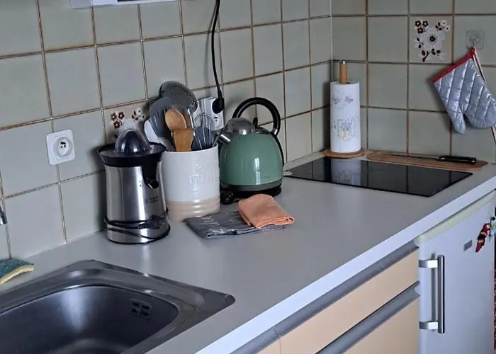 Studio Gaelle Suite A Desistement Libre Jusqu'Au 5 Avril 50M Des Cures Tres Jolie Vue Wifi Διαμέρισμα Amélie-les-Bains-Palalda