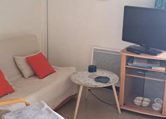 Studio Gaelle Suite A Desistement Libre Jusqu'Au 5 Avril 50M Des Cures Tres Jolie Vue Wifi * Amélie-les-Bains-Palalda