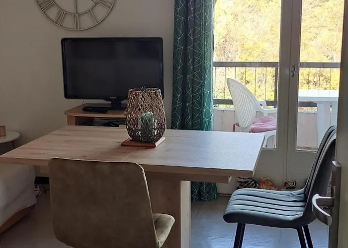 Studio Gaelle Suite A Desistement Libre Jusqu'Au 5 Avril 50M Des Cures Tres Jolie Vue Wifi Διαμέρισμα Amélie-les-Bains-Palalda
