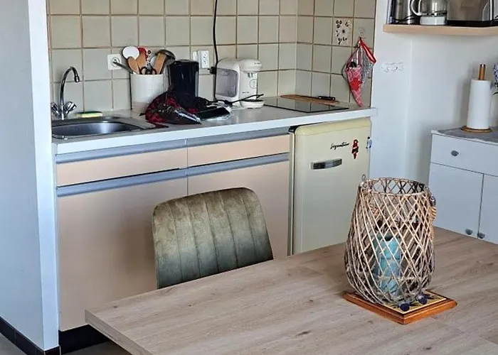 Studio Gaelle Suite A Desistement Libre Jusqu'Au 5 Avril 50M Des Cures Tres Jolie Vue Wifi Διαμέρισμα Amélie-les-Bains-Palalda