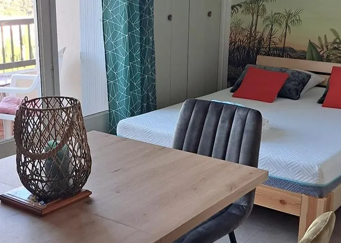 Διαμέρισμα Studio Gaelle Suite A Desistement Libre Jusqu'Au 5 Avril 50M Des Cures Tres Jolie Vue Wifi Amélie-les-Bains-Palalda
