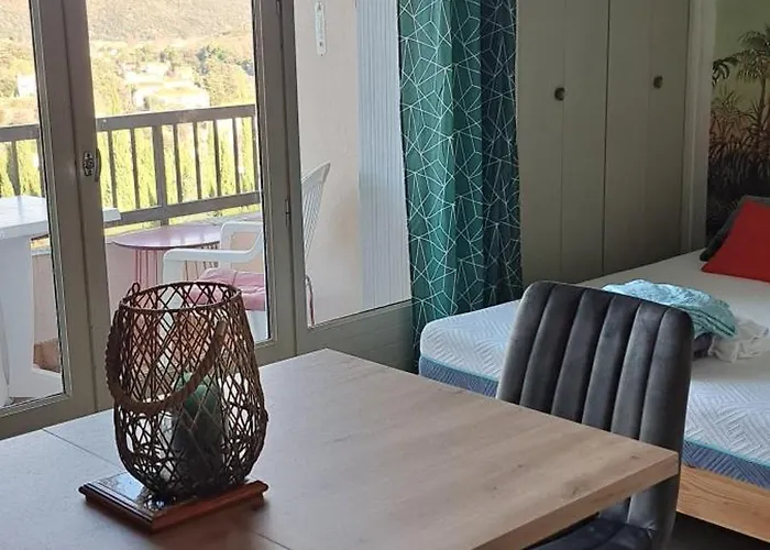 Studio Gaelle Suite A Desistement Libre Jusqu'Au 5 Avril 50M Des Cures Tres Jolie Vue Wifi Διαμέρισμα Amélie-les-Bains-Palalda